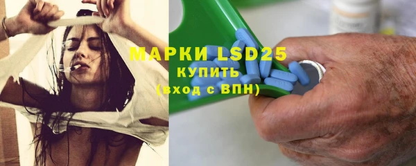 индика Медногорск