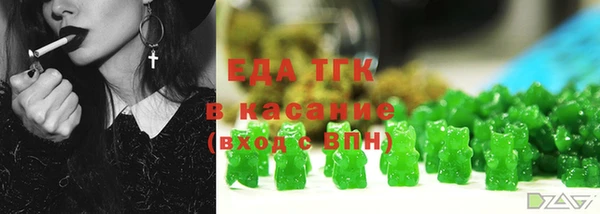 индика Медногорск