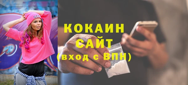 индика Медногорск