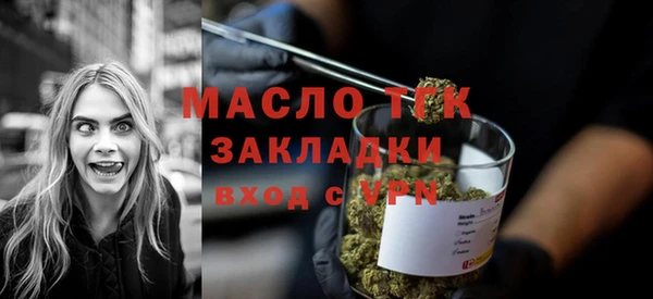 индика Медногорск