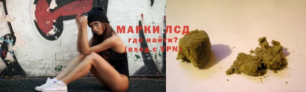 индика Медногорск