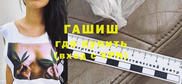 индика Медногорск
