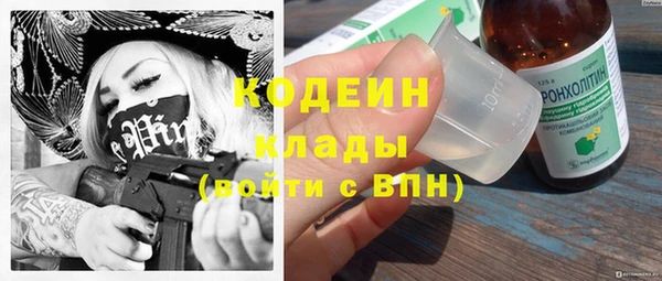 индика Медногорск