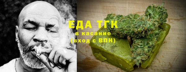 индика Медногорск