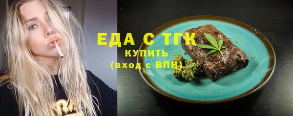 индика Медногорск