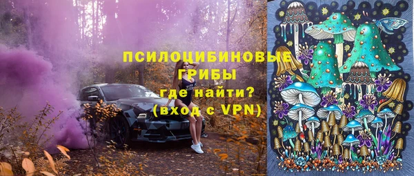спиды Медвежьегорск