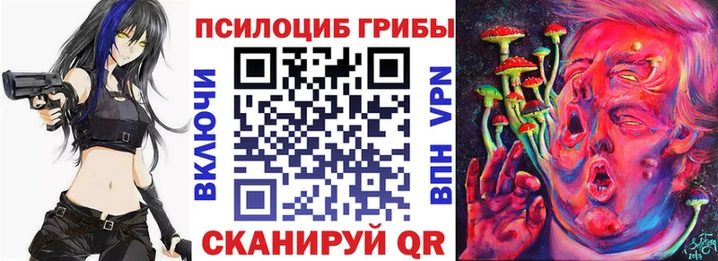 Галлюциногенные грибы Magic Shrooms  купить наркотики цена  Махачкала 