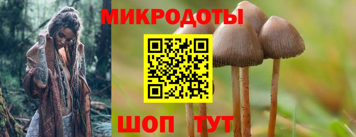 Галлюциногенные грибы Cubensis  цены   Махачкала  Вход с VPN 